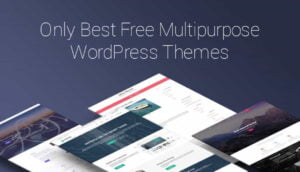 Multipurpose themes